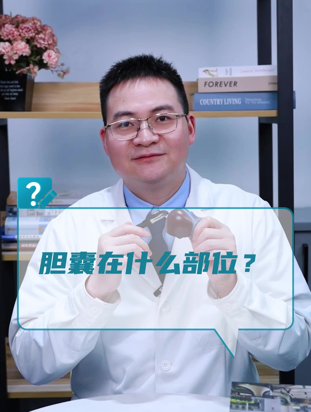 胆囊在什么部位?