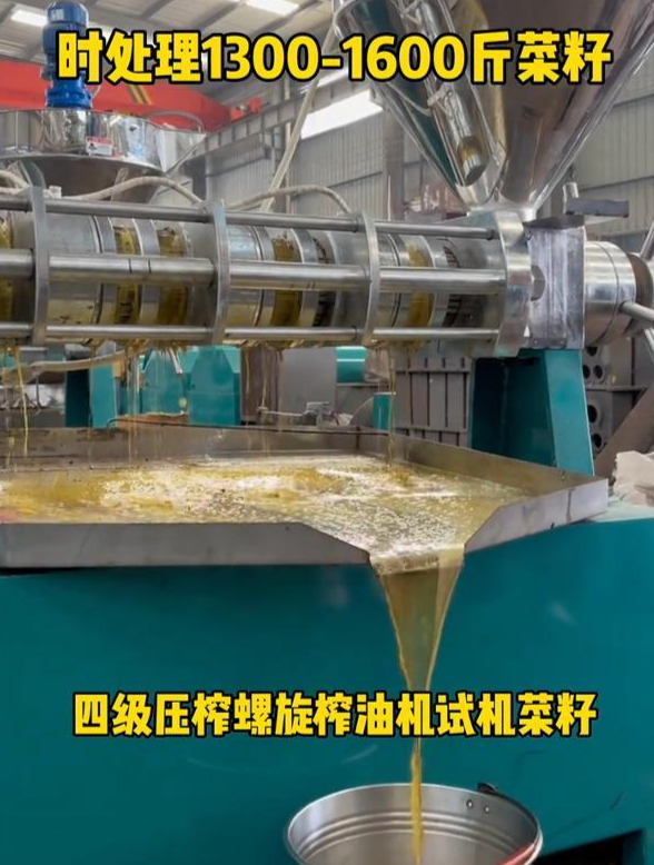 四级压榨全自动螺旋榨油机压榨油菜籽试机 时产1300-1600斤