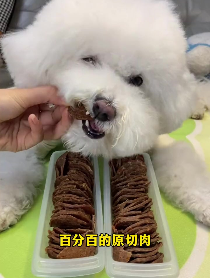 你家小狗吃过薯片吗?这薯片嘎嘣脆,看点大侠吃的我都馋了!
