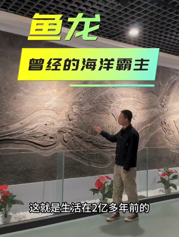 古生物化石:鱼龙,曾经的海洋霸主