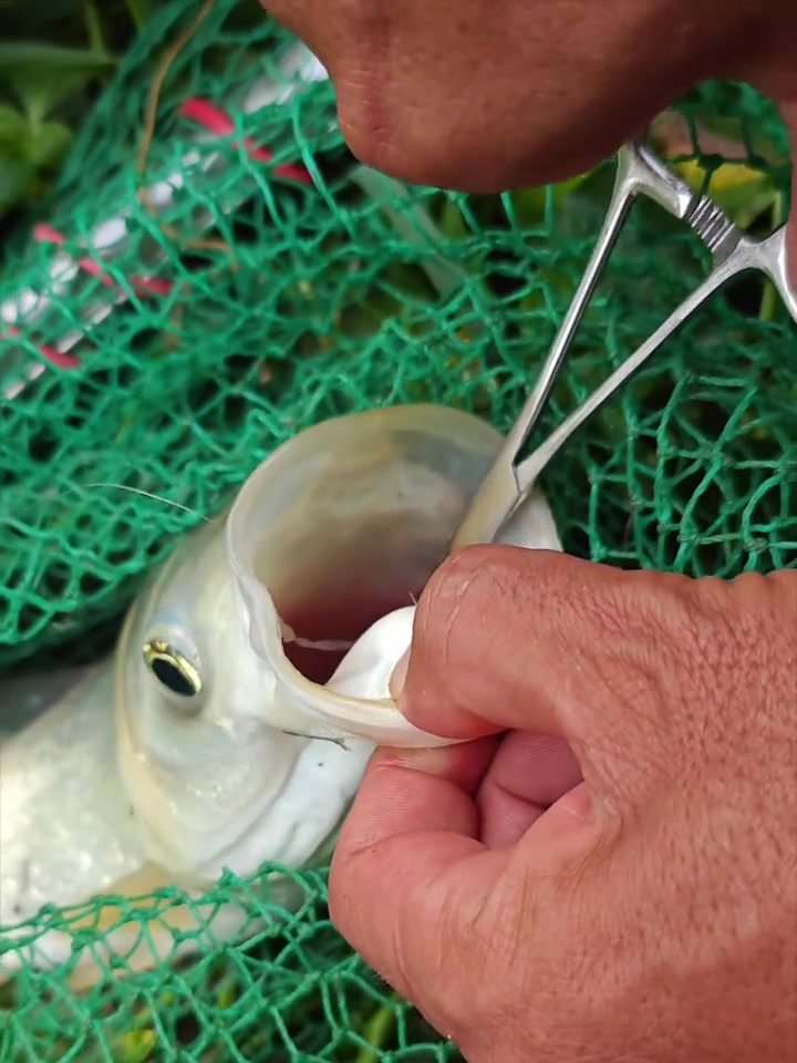 上鱼时,不管鱼钩吃多深,轻轻一夹就能取出来!