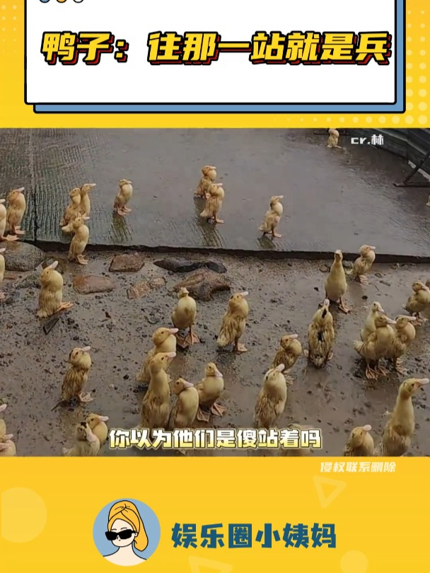 鸭子:往那一站就是兵!