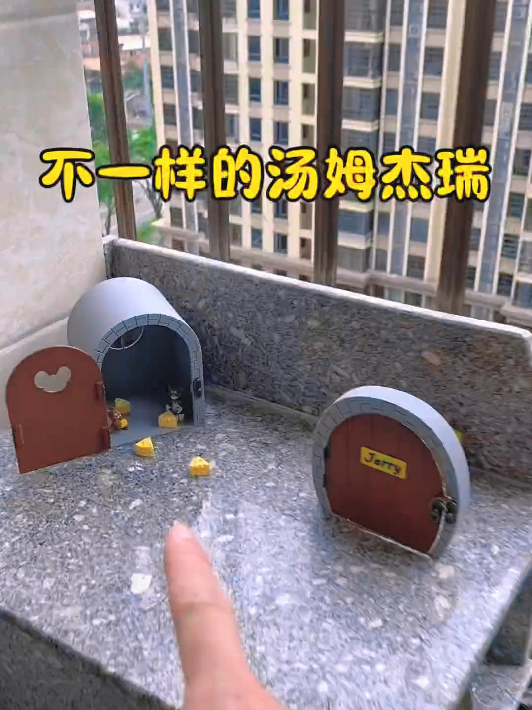 我们家来了好多汤姆杰瑞啊