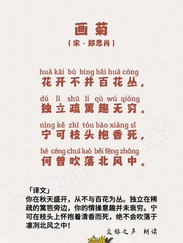 每日一首古诗|郑思肖《画菊》,宁可枝头抱香死,何曾吹落北风中