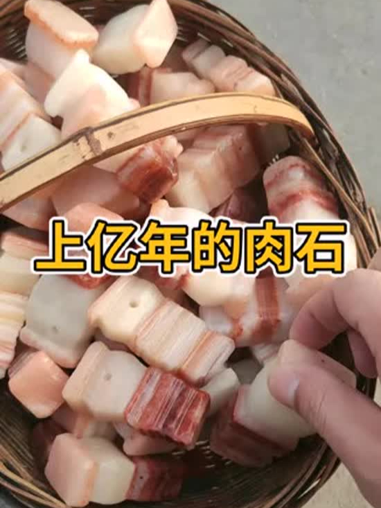 上亿年的肉石!你见过吗?