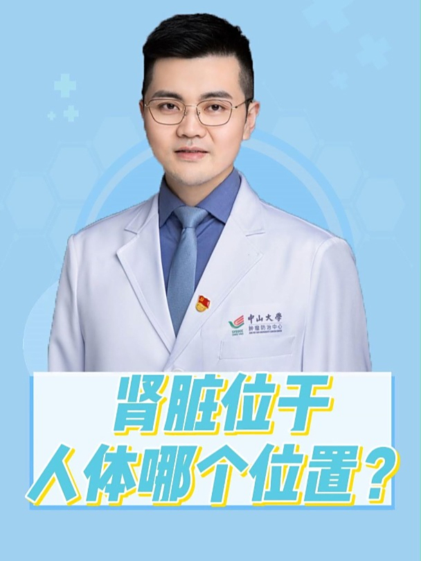 肾脏位于人体哪个位置?