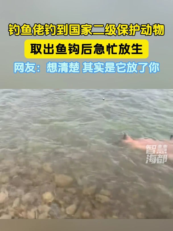钓鱼佬 钓到 国家二级保护动物 胭脂鱼,取出鱼钩后急忙放生,网友:想清楚,其实是它放了你