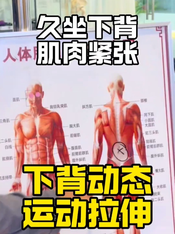 下背动态运动拉伸 久坐下背部肌肉紧张,试试这个运动拉伸的方法