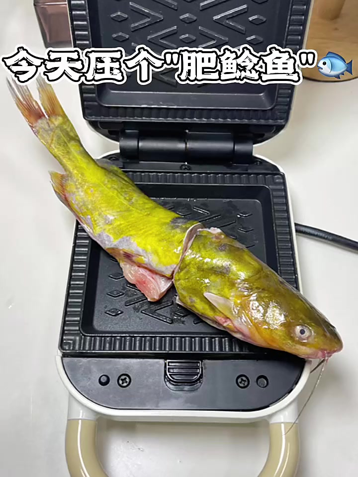 早餐机:好!我宣布这道肥鲶鱼压的深得我心!