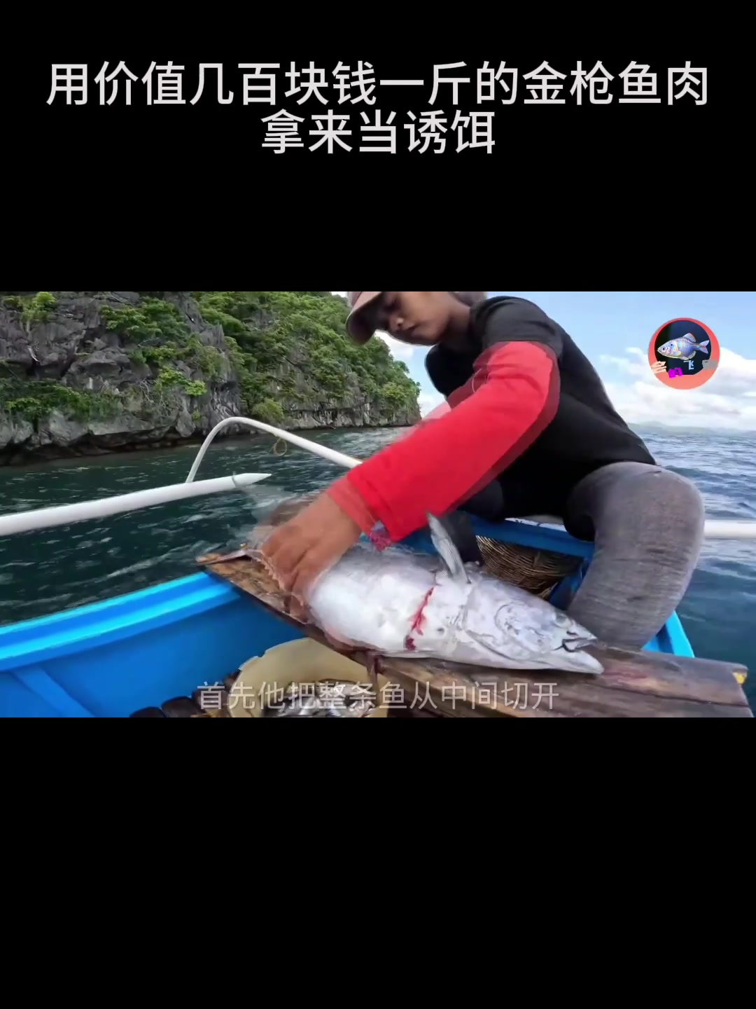 用价值几百块钱一斤的金枪鱼肉拿来当诱饵钓鱼会有什么意外惊喜