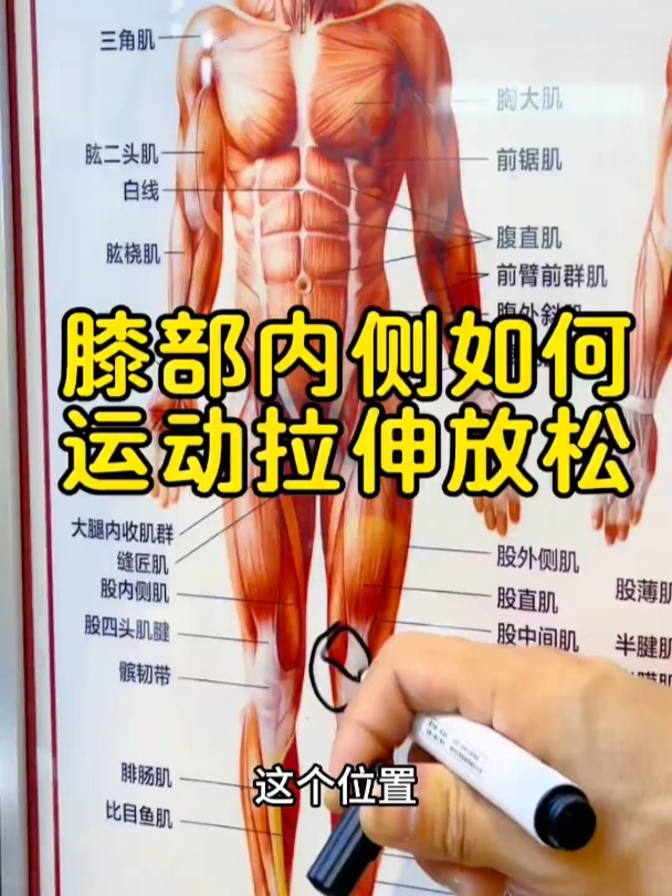 久坐少运动的家人们,试试使用泡沫轴放松大腿内侧肌肉