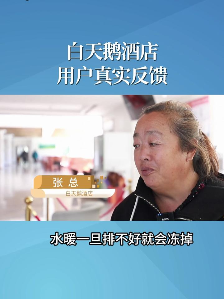 白天鹅酒店用户反馈