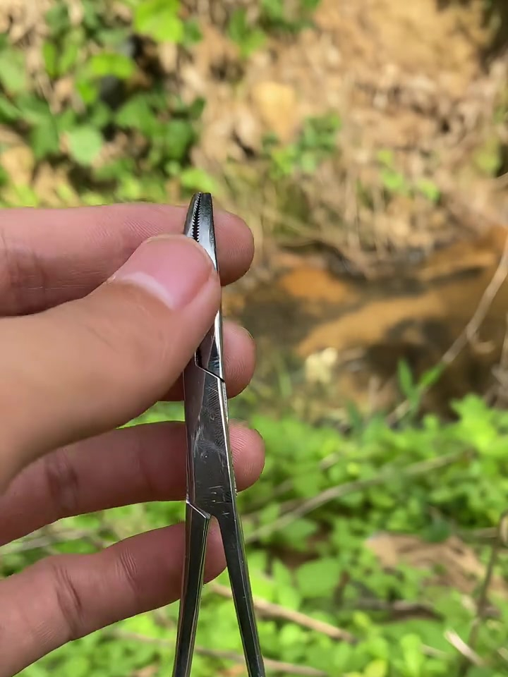 轻轻一夹,鱼钩就取出来了,简单方便还不伤鱼不伤子线