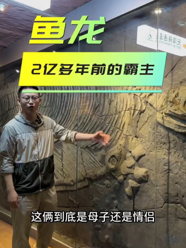 古生物化石:鱼龙,2亿多年前的霸主