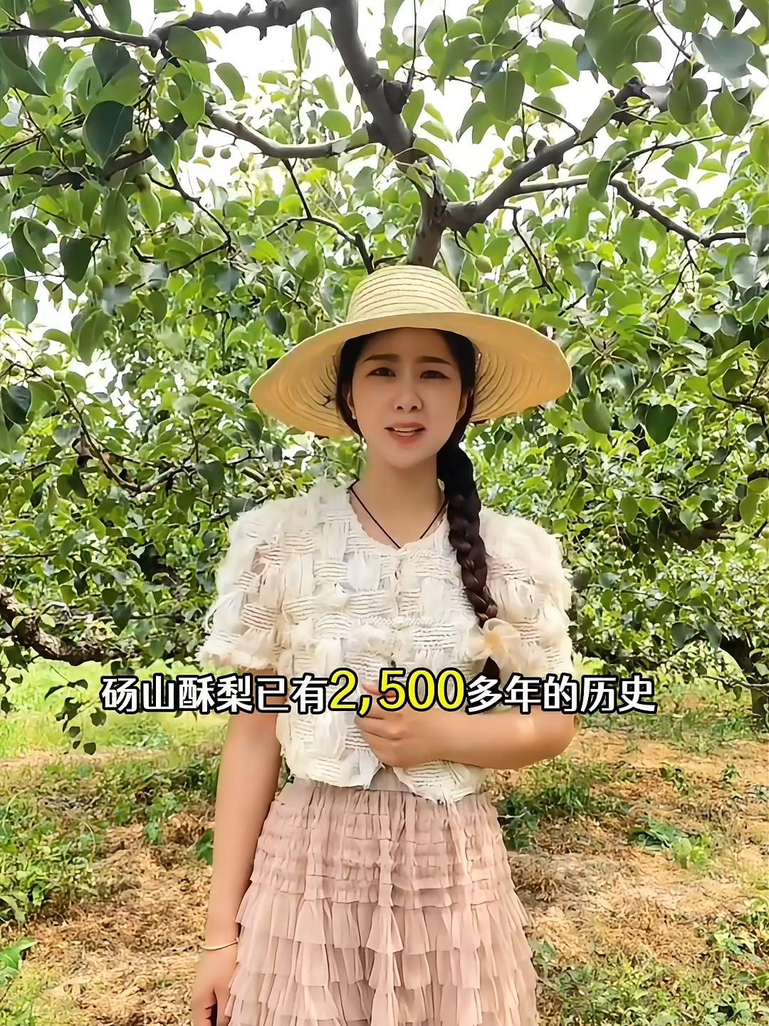 砀山酥梨历史悠久,你了解砀山酥梨的由来吗?竟是古代宫廷贡品?