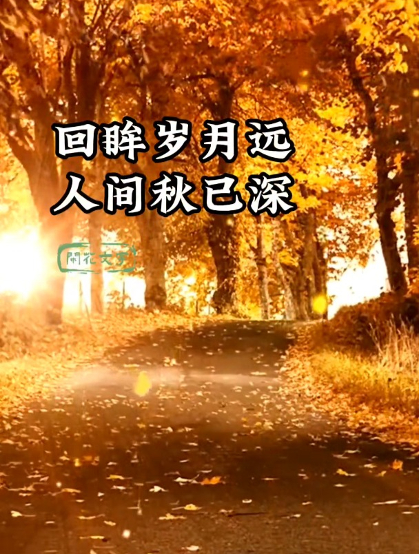 回眸岁月远,人间秋已深,9首深秋古词,唯美深情,秋深情未老!