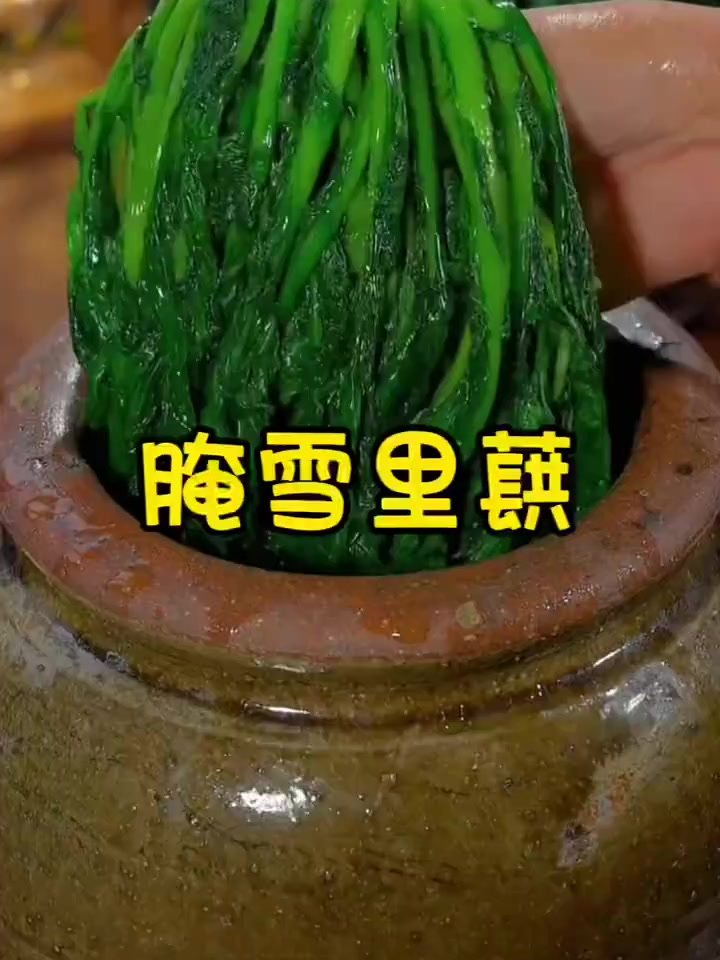 美食教程之腌雪里蕻