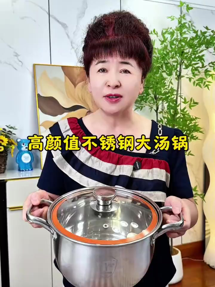 高颜值不锈钢大汤锅,电陶炉、电磁炉,燃气灶都可以用