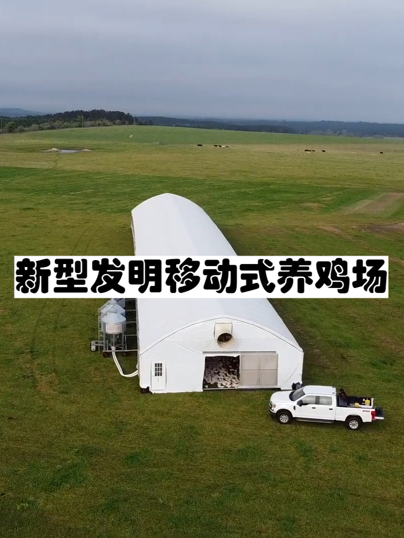 新型发明移动式养鸡场,高级鸡肉都是从这里面产出的