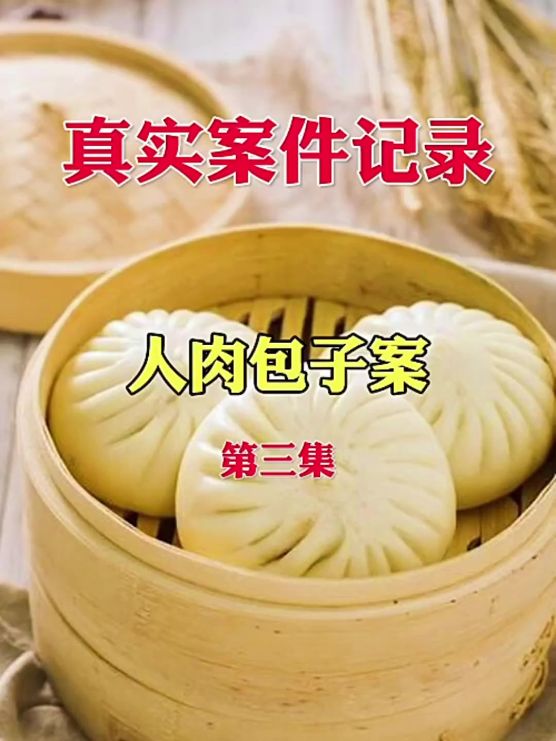 真实案件记录,人肉包子案 3