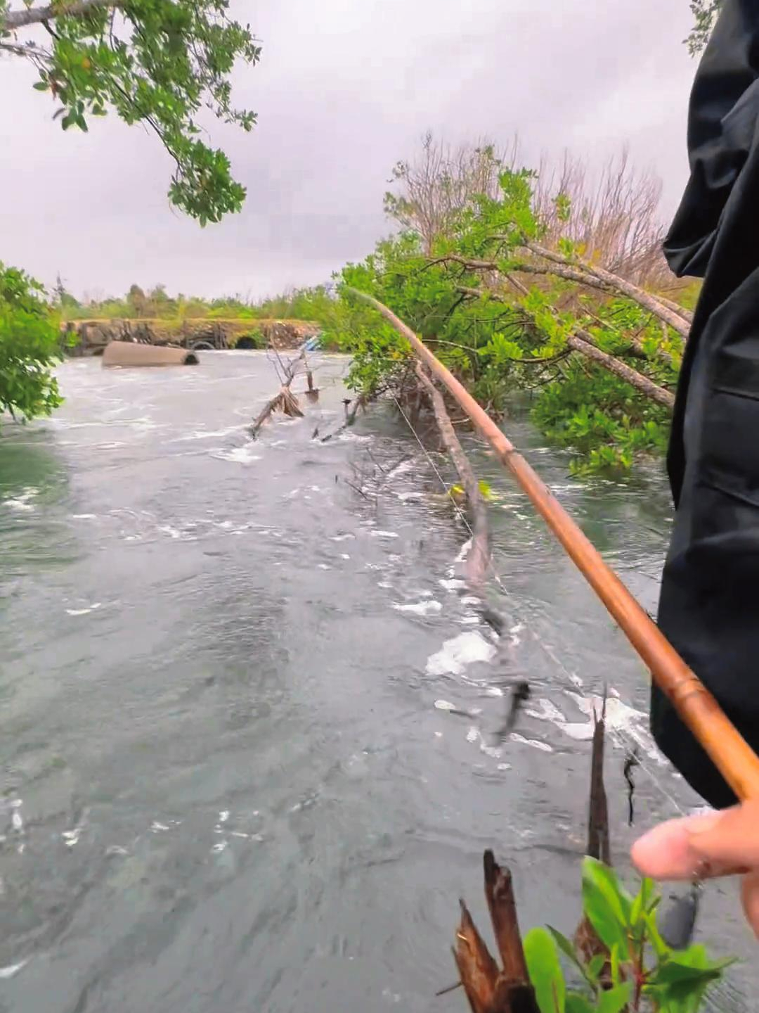 最有性价比的手杆