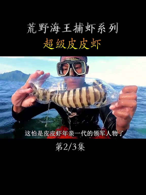 牛人捕捉手掌大的皮皮虾,竟只用一根小竹竿绳套,鱼获满满!