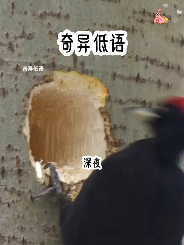 深夜,女儿学校群里有家长怒问:你今天在幼儿园给子轩看了什么?