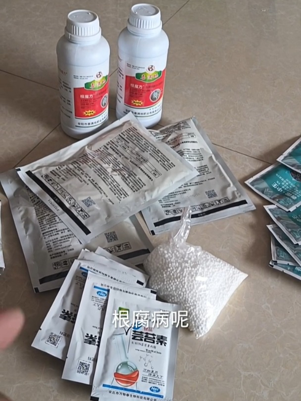 辽宁大姐!买专治玉米根腐病的药!