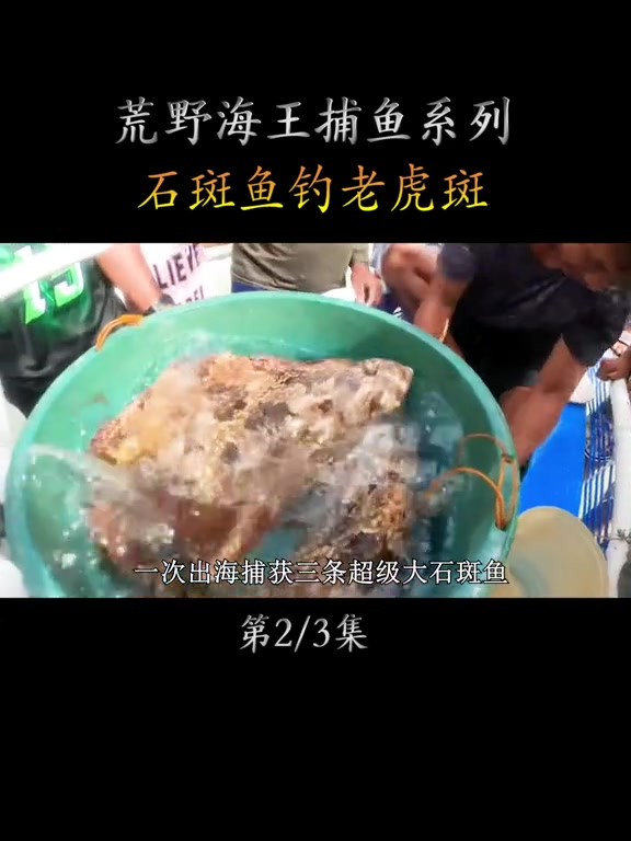 用石斑鱼钓龙趸,老渔民操作秀出天际,鱼获价值惊人!
