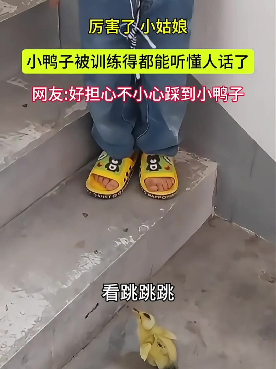 两个小可爱 小鸭子被小女孩教得都听得懂人话了