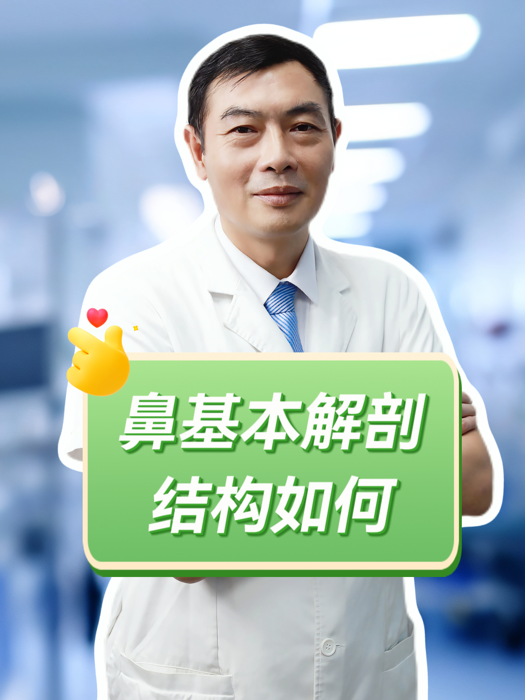 鼻基本解剖结构如何?
