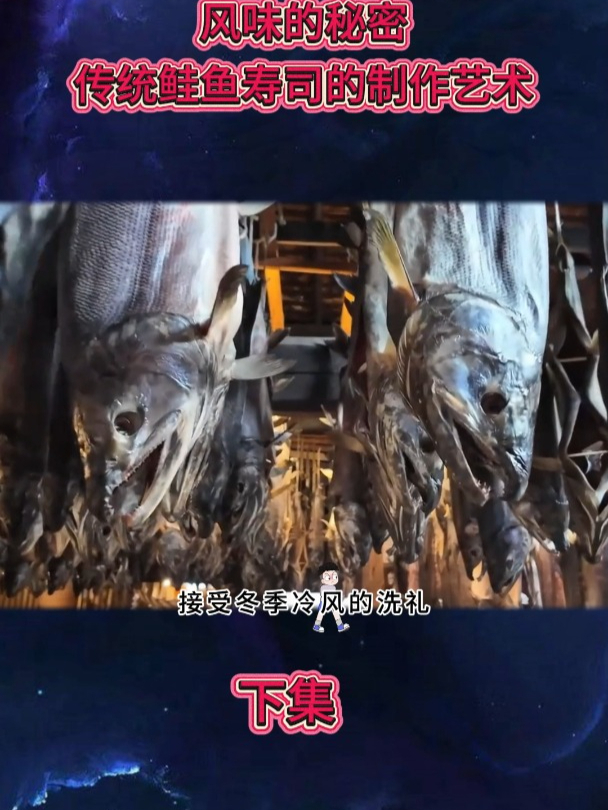 风味的秘密,传统鲑鱼寿司的制作艺术