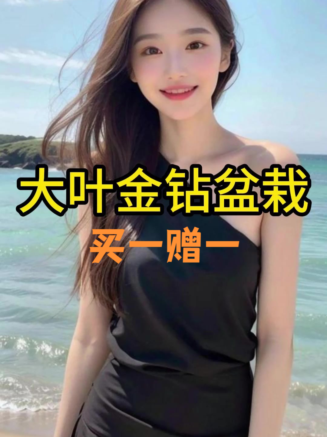 大叶金钻盆栽植物绿公主水培室内绿植净化空气办公室桌面好养易活