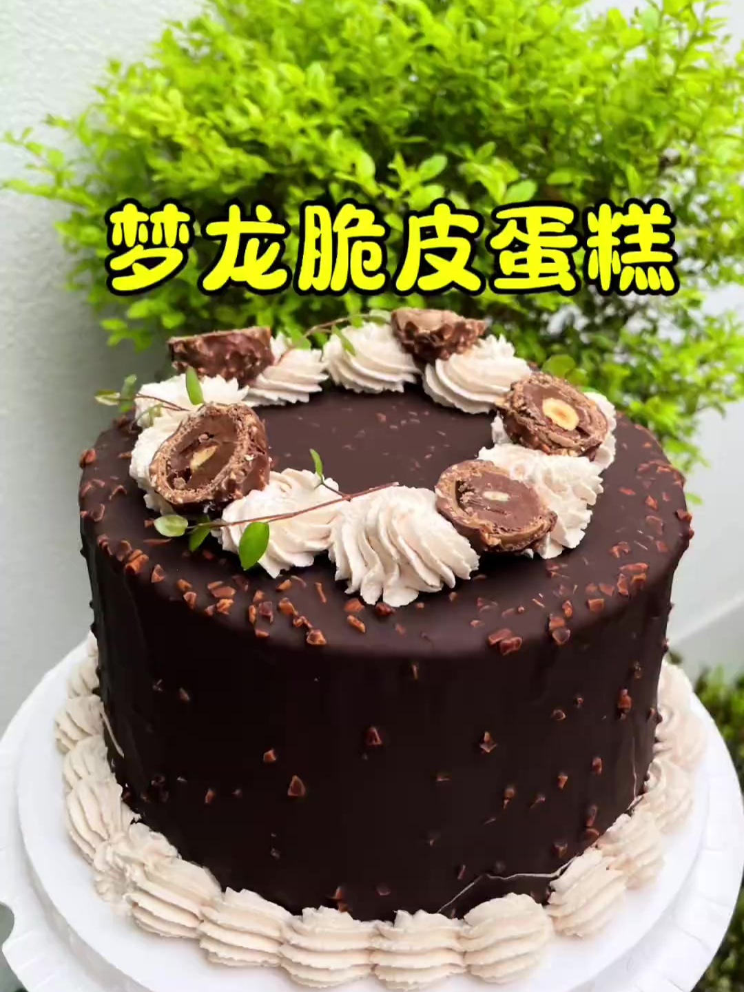 看看哪个小可爱还没吃过姨姨做的梦龙脆皮蛋糕,那叫一个超赞!