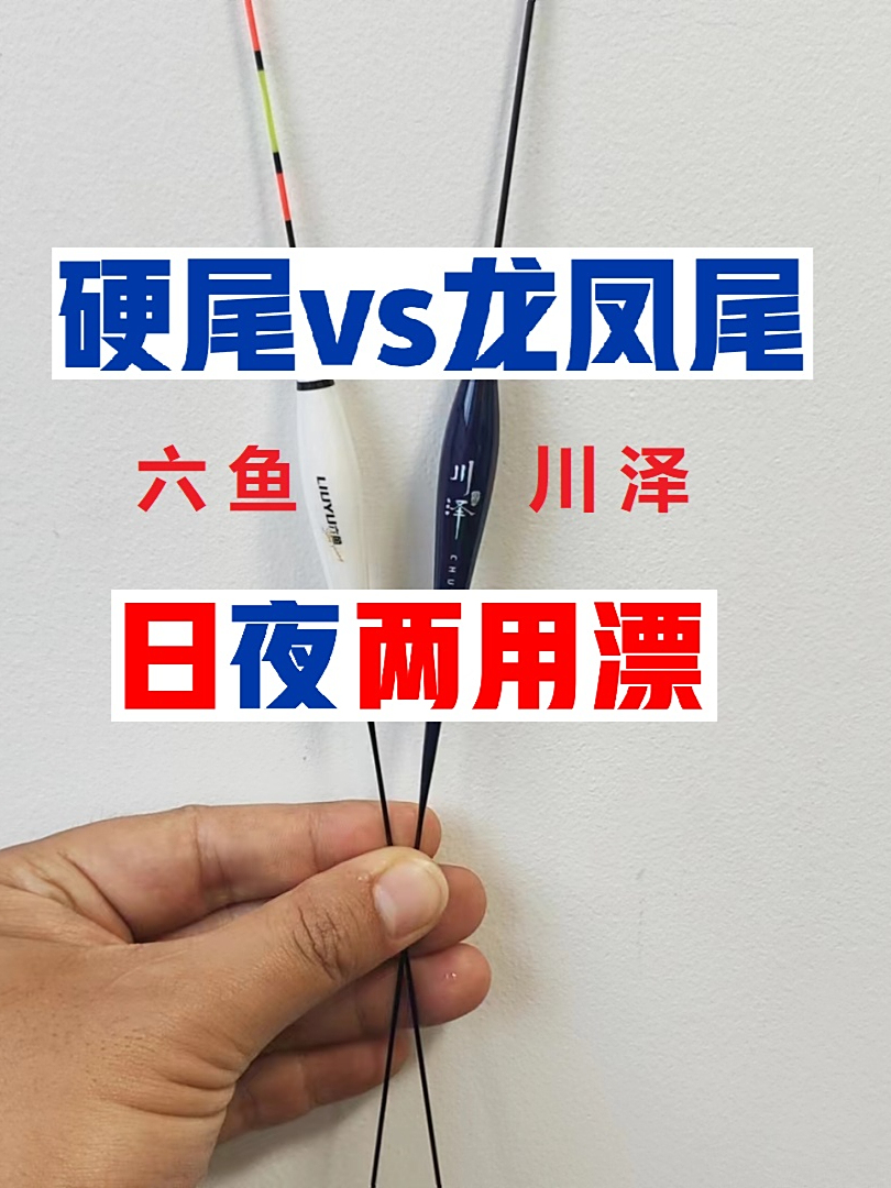 日夜两用漂第5期:六鱼对比川泽,硬尾和龙风尾哪个好?
