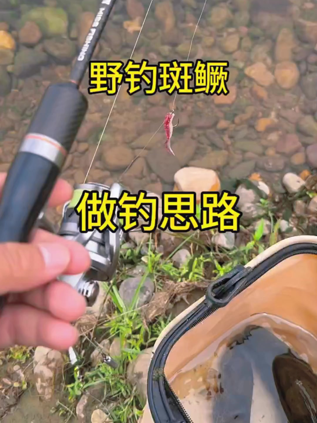 在众多路亚对象鱼里面,我觉得鳜鱼是比较好钓的!