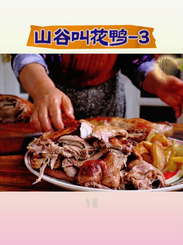 国外大妈做的,乡村版叫花鸭,究竟有多好吃?(三)