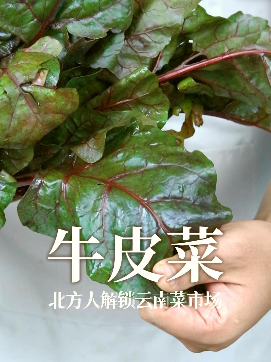 叶子像牛皮一样的菜,你吃过吗?炒出来比苋菜还鲜艳……