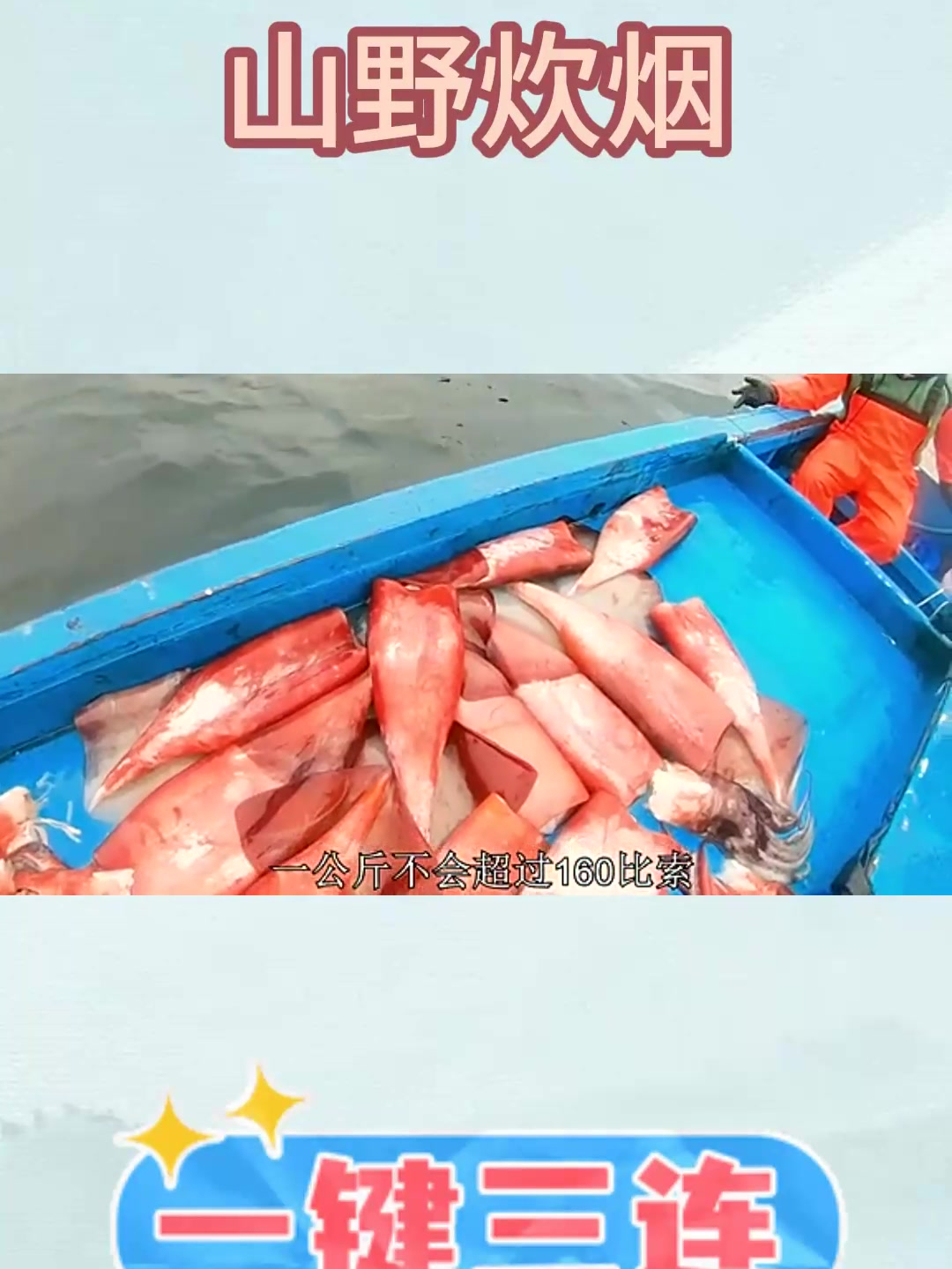 几十斤一只的超级大鱿鱼,牛人钓到嗨起!