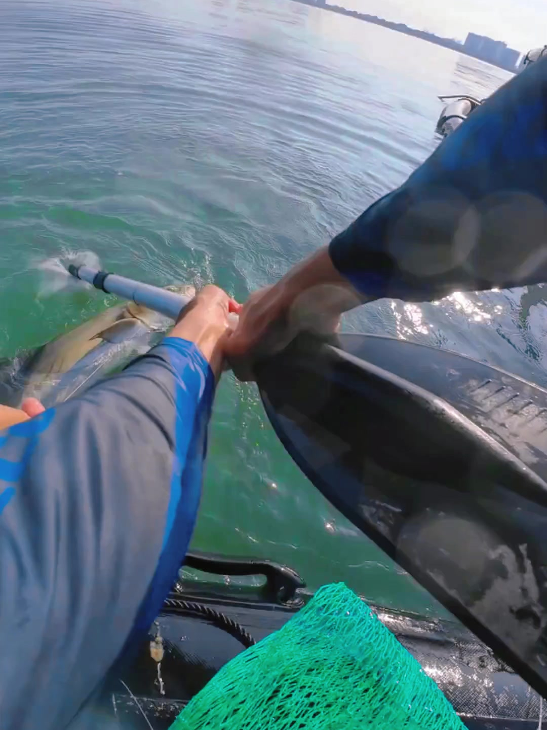 双人决战海甘草鱼