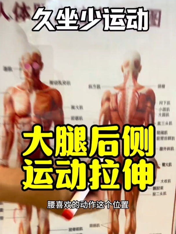 你是不是久坐少运动啊?练练这个大腿后侧运动拉伸的动作