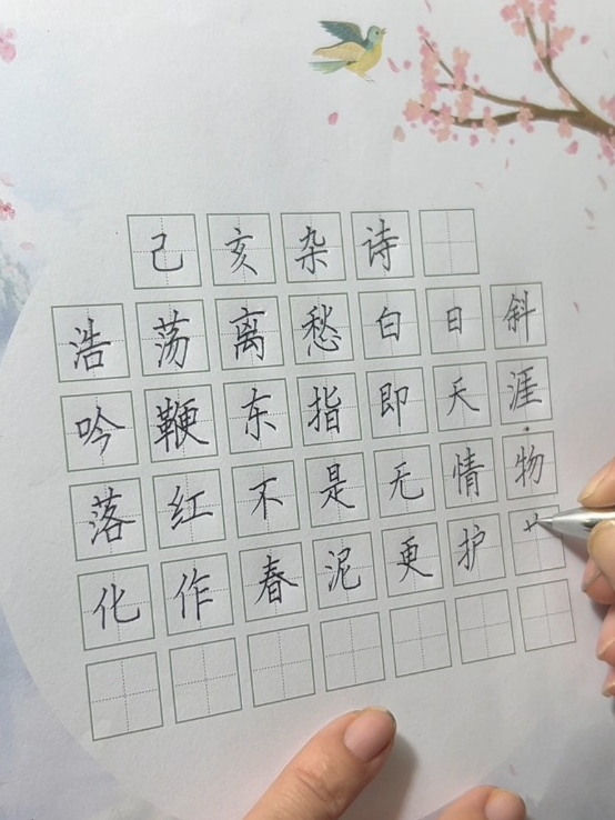 沉浸式练字硬笔书法古诗书写《己亥杂诗》练写规范字
