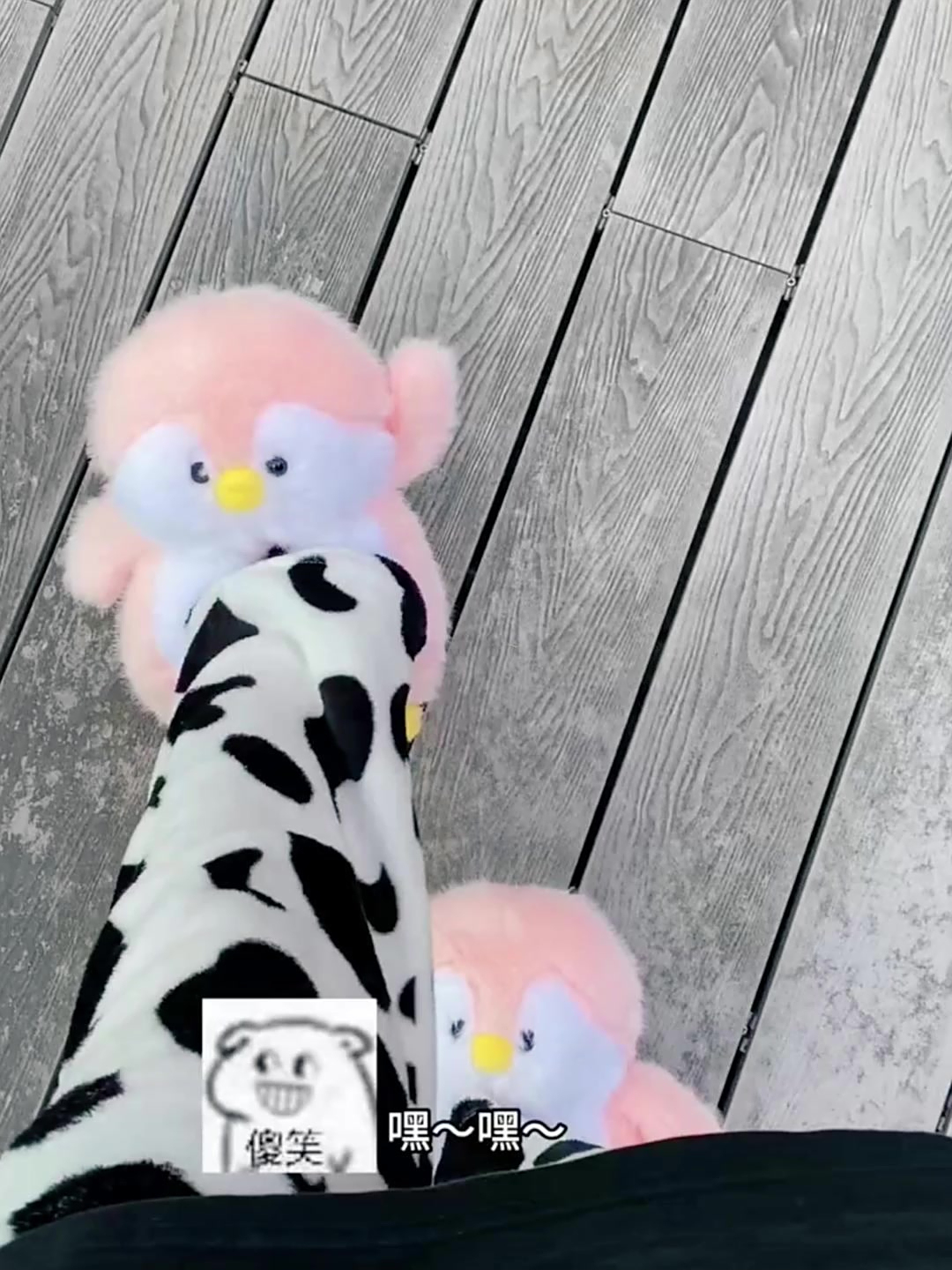 这么可爱的小企鹅,怎么能把它当拖鞋呢?