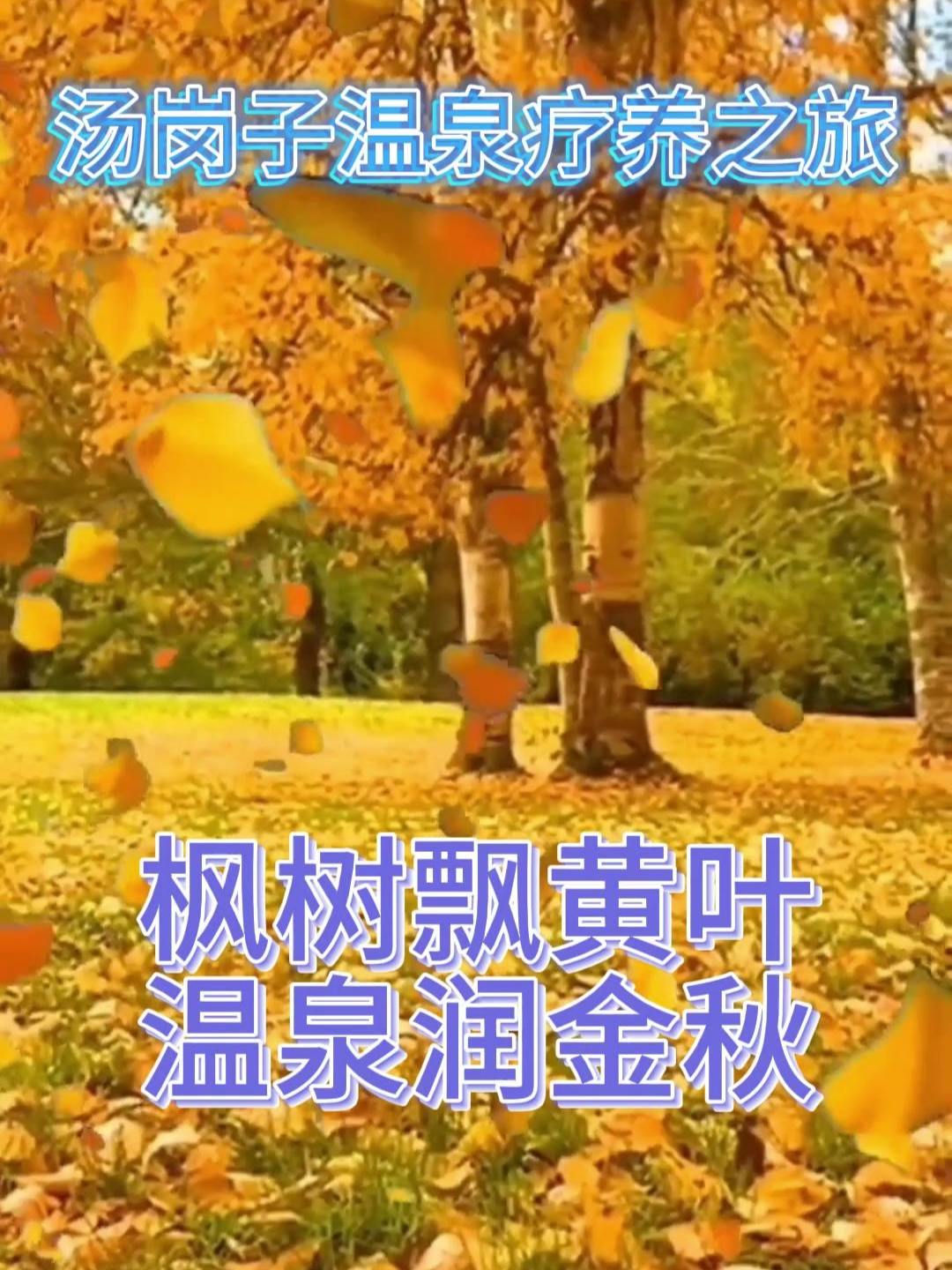 汤岗子温泉疗养之旅—枫树黄叶染温泉