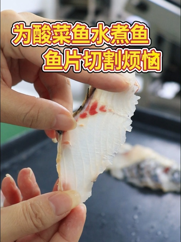 解决鱼片切割难题,全自动斜切鱼片机助力酸菜鱼片加工