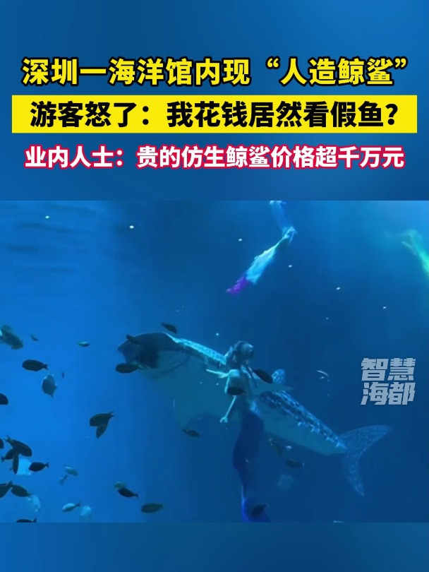 深圳一海洋馆内现 人造鲸鲨,游客怒了:我花钱居然看假鱼?科技 机械鲨鱼