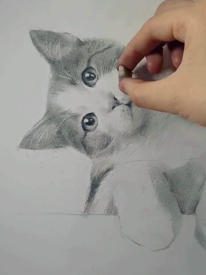 画一只超可爱的小猫咪!画画素描小猫咪