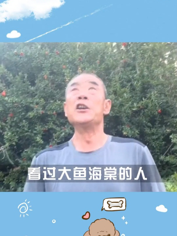 你要接受来自天神的爱吗?大鱼海棠 潦草版