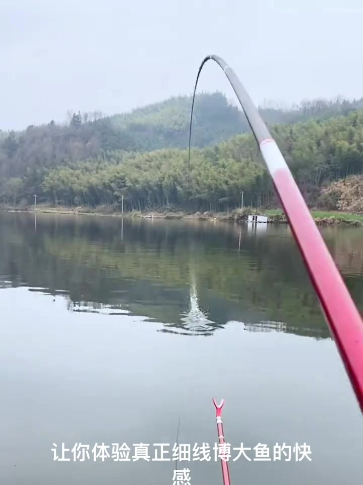 专攻鲫鱼的线组,从不切线还能提升鱼获!