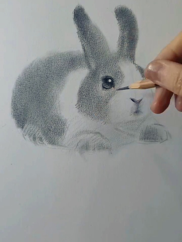 超级简单的可爱兔兔画法,素描画画,兔子的画法
